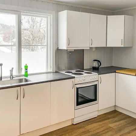 Gorgeous In With Kitchen Apartment Mesnali
